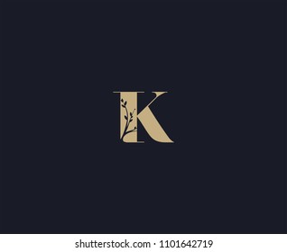 letter K logo design template. luxury logo