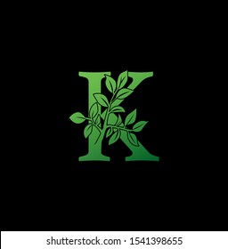 Letter K logo icon. Creative vector logo icon design concept green nature floral tree ornament with letter K for business or company identity. 