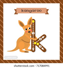 Letter K lowercase cute children colorful zoo and animals ABC alphabet tracing flashcard of Kangaroo for kids learning English vocabulary and handwriting vector illustration.