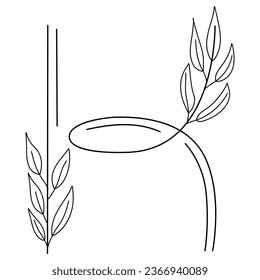 Letter K monogram with floral details. Vector illustration.