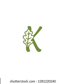 Letter K With Oak Leaf Logo Icon 001
