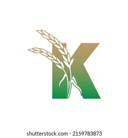 Letter K with rice plant icon illustration template vector