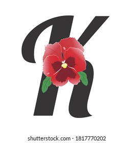 Letter K with single red pansy flower, bud and leaves, isolated on white background. Garden violet. Bright colors, gradients. Red-white, pink, burgundy shades. Vector illustration for print and web.