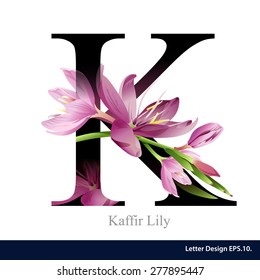 Letter K vector alphabet with kaffir lily flower. ABC concept type as logo. Typography design