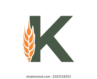 letter k with wheat ear. creative harvest alphabet logotype. agriculture, grain crops and cereal farming design. isolated vector image