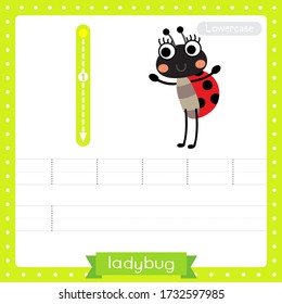 Letter L lowercase cute children colorful zoo and animals ABC alphabet tracing practice worksheet of Ladybug for kids learning English vocabulary and handwriting vector illustration.