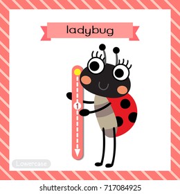 Letter L lowercase cute children colorful zoo and animals ABC alphabet tracing flashcard of Standing Ladybug for kids learning English vocabulary and handwriting vector illustration.