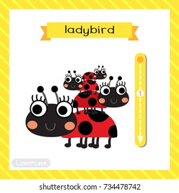 Letter L lowercase cute children colorful zoo and animals ABC alphabet tracing flashcard of Standing Ladybird for kids learning English vocabulary and handwriting vector illustration.