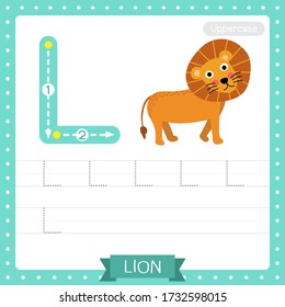 Letter L uppercase cute children colorful zoo and animals ABC alphabet tracing practice worksheet of Lion for kids learning English vocabulary and handwriting vector illustration.