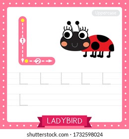 Letter L uppercase cute children colorful zoo and animals ABC alphabet tracing practice worksheet of Ladybird for kids learning English vocabulary and handwriting vector illustration.