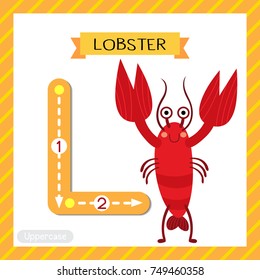 Letter L uppercase cute children colorful zoo and animals ABC alphabet tracing flashcard of Standing Lobster for kids learning English vocabulary and handwriting vector illustration.