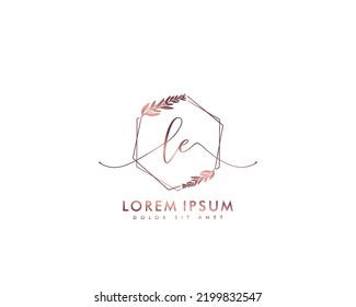 Letter LE Initial handwriting logo with signature and hand drawn style.