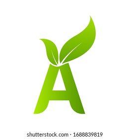 Carta A con elemento hoja, concepto de ecología