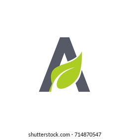 Letter A Leaf Logo