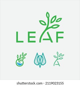 letter leaf logo icon vector