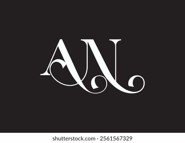 AN Letter logo design and company logo
