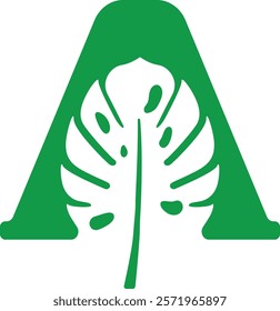 Letter A Logo design concept with monstera leaf