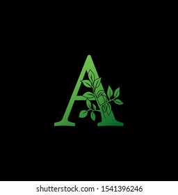 Letter A logo icon. Creative vector logo icon design concept green nature floral tree ornament with letter A for business or company identity. 