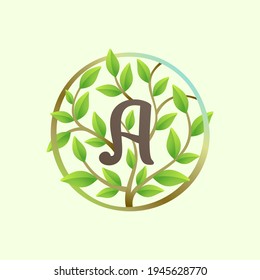 Letter A logo made of twisted tree branches and green leaves in circle. Ecology vector font for vegan emblem, botanical identity, creative spring t-shirts, organic merchandise.