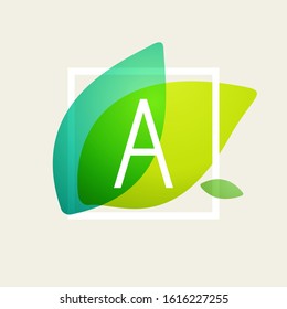 Letter A logo in square frame at green leaves watercolor background. Vector ecology typeface for botanical labels, floral headlines, recycle posters, organic cards etc.