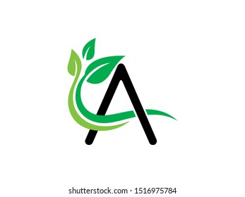 Letter A logo or symbol template design