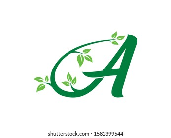 A Letter logo or symbol template design