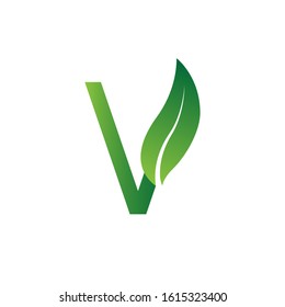 letter logo V green with leaves. simple and unique combination logo. white background. modern template. for company brand and graphic design. illustration vector

