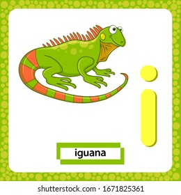 Letter I lowercase with cute cartoon Green Iguana lizard isolated on white background. Funny colorful flashcard Zoo and animals ABC alphabet. Education card for kids learning English vocabulary.Vector