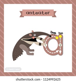 Letter A lowercase cute children colorful zoo and animals ABC alphabet tracing flashcard of Anteater for kids learning English vocabulary and handwriting vector illustration.