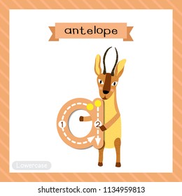 Letter A lowercase cute children colorful zoo and animals ABC alphabet tracing flashcard of Antelope for kids learning English vocabulary and handwriting vector illustration.