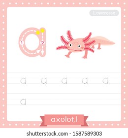 Letter A lowercase cute children colorful zoo and animals ABC alphabet tracing practice worksheet of Axolotl for kids learning English vocabulary and handwriting vector illustration.