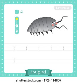 Letter I lowercase cute children colorful zoo and animals ABC alphabet tracing practice worksheet of Isopod for kids learning English vocabulary and handwriting vector illustration.