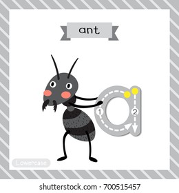 Letter A lowercase cute children colorful zoo and animals ABC alphabet tracing flashcard of black ant for kids learning English vocabulary and handwriting vector illustration.