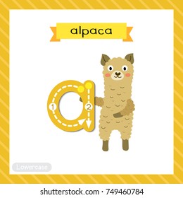 Letter A lowercase cute children colorful zoo and animals ABC alphabet tracing flashcard of Alpaca for kids learning English vocabulary and handwriting vector illustration.