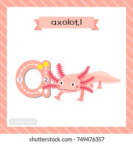 Letter A lowercase cute children colorful zoo and animals ABC alphabet tracing flashcard of Axolotl for kids learning English vocabulary and handwriting vector illustration.