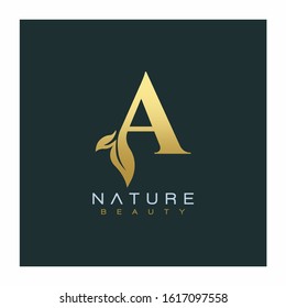 Letter A Luxury Letter Logo Design Vector Icon