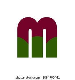 Letter M Icon Logo Vector Template