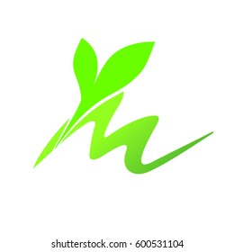 Letter M Logo