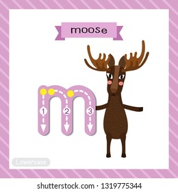 Letter M lowercase cute children colorful zoo and animals ABC alphabet tracing flashcard of Moose standing on two legs for kids learning English vocabulary and handwriting vector illustration.