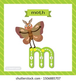 Letter M lowercase cute children colorful zoo and animals ABC alphabet tracing flashcard of Moth for kids learning English vocabulary and handwriting vector illustration.