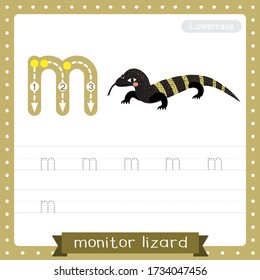 Letter M lowercase cute children colorful zoo and animals ABC alphabet tracing practice worksheet of Monitor lizard for kids learning English vocabulary and handwriting vector illustration.