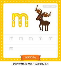 Letter M lowercase cute children colorful zoo and animals ABC alphabet tracing practice worksheet of Standing Moose for kids learning English vocabulary and handwriting vector illustration.