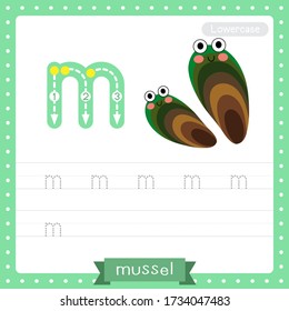 Letter M lowercase cute children colorful zoo and animals ABC alphabet tracing practice worksheet of Mussel for kids learning English vocabulary and handwriting vector illustration.