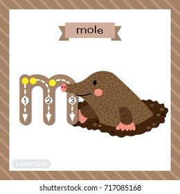 Letter M lowercase cute children colorful zoo and animals ABC alphabet tracing flashcard of Mole Digging Out of the Dirt for kids learning English vocabulary and handwriting vector illustration.