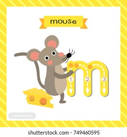 Letter M lowercase cute children colorful zoo and animals ABC alphabet tracing flashcard of Mouse with cheese for kids learning English vocabulary and handwriting vector illustration.