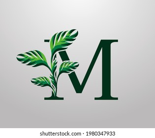 Letter M monstera green plant icon, tropical leaves decorative logo