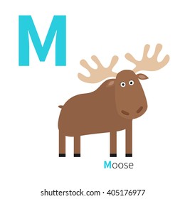 Letter M Moose Zoo alphabet. English abc with animals Education cards for kids Isolated White background Flat design Vector illustration illustration