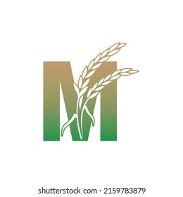 Letter M with rice plant icon illustration template vector