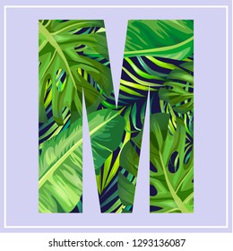 letter M , typography, jungle background, vector illustration 