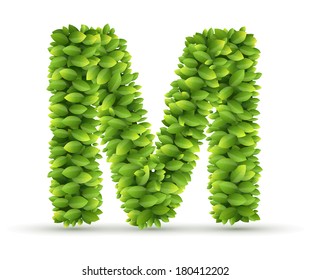Letter M, vector alphabet of green leaves  on white background